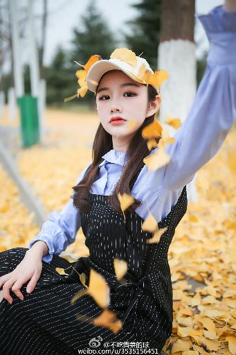 间谍过家家第三季