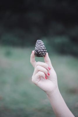 韩国未满十八岁可不可以整形